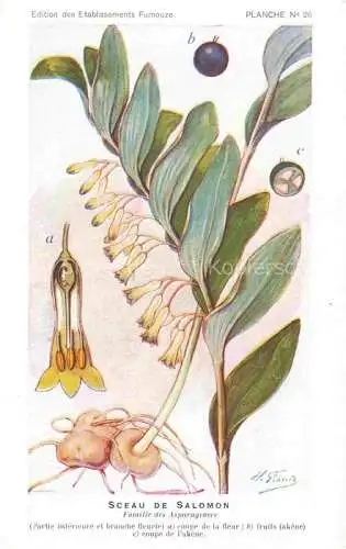 AK / Ansichtskarte Franz Horst Kuenstlerkarte Sceau de Salomon Saint Denis Paris Pharmacies 