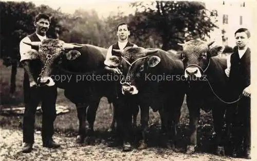 AK / Ansichtskarte Militaria Schweiz stiere