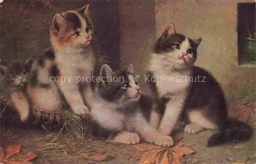 AK / Ansichtskarte KATZEN Cats Chats Gatos Gatti-- 