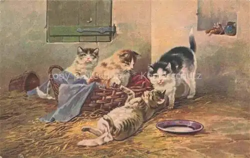 AK / Ansichtskarte KATZEN Cats Chats Gatos Gatti-- Spielen