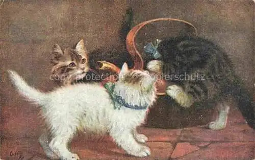 AK / Ansichtskarte Verlag Tucks Oilette Serie Nr. 8884 Katzen Catland