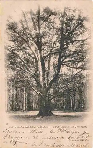 AK / Ansichtskarte Baeume Trees Arbres Arboles Environs de Compiegne 