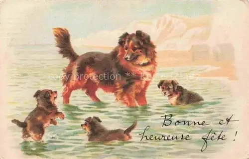 AK / Ansichtskarte HUNDE dogs chiens-- Welpen Baden 