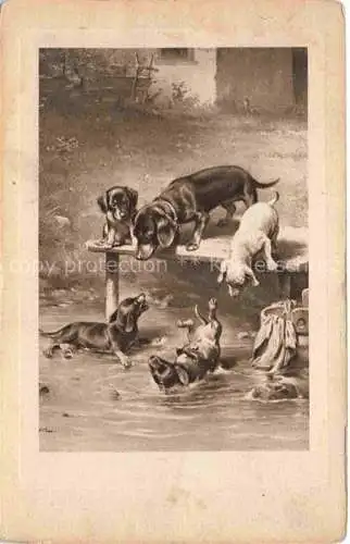 AK / Ansichtskarte Dackel Dachshund Teckel Hunde dogs Chiens Cani 