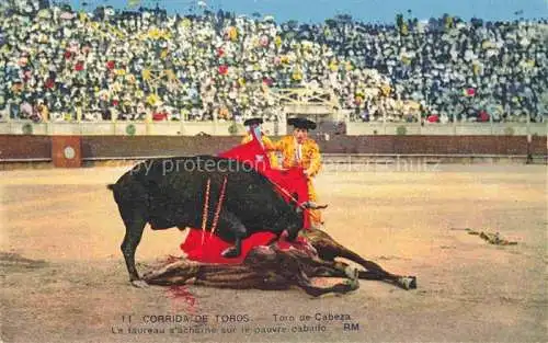 AK / Ansichtskarte Stierkampf Corrida de Toros Bullfight-- Toro de Cabeza