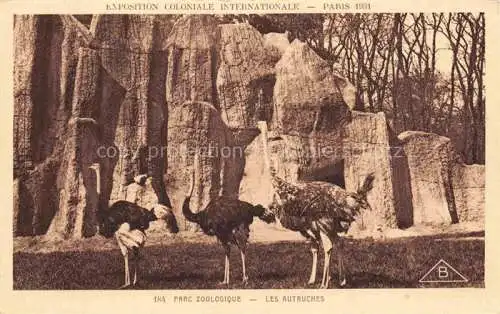 AK / Ansichtskarte Strauss Autruche Ostrich Avestruz Struzzo Voegel Birds Oiseaux Parc Zoologique 