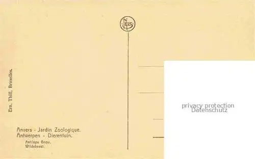 AK / Ansichtskarte Zoo Gardin Zoologique-- Anvers Jardin Dierentuin 