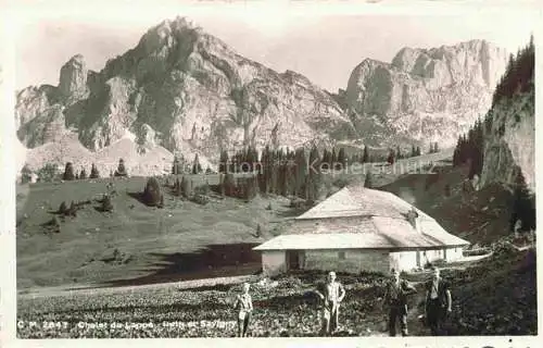 AK / Ansichtskarte Chalet du Lappe Vuippens La Gruyere FR Vue générale Alpes