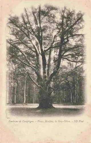 AK / Ansichtskarte Baeume Trees Arbres Arboles Environs de Compiegne Vieux Moulins Gros Hetze ND Nr. 43