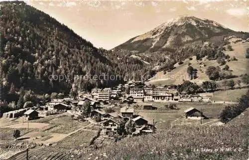 AK / Ansichtskarte Le Sepey Aigle VD Panorama et Mont d'Or