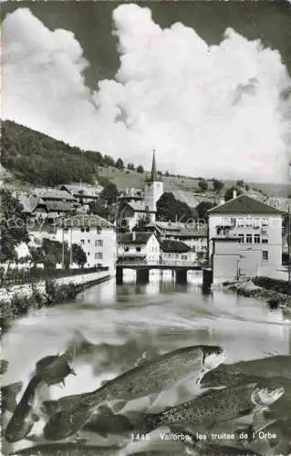 AK / Ansichtskarte Vallorbe Orbe VD Les truites de l'Orbe