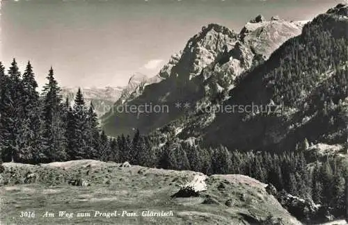 AK / Ansichtskarte Glaernisch 2914m GL Am Weg zum Pragel Pass