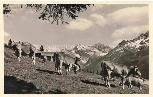 AK / Ansichtskarte DAVOS GR Clavadeler Alp Blick ins Sertigtal