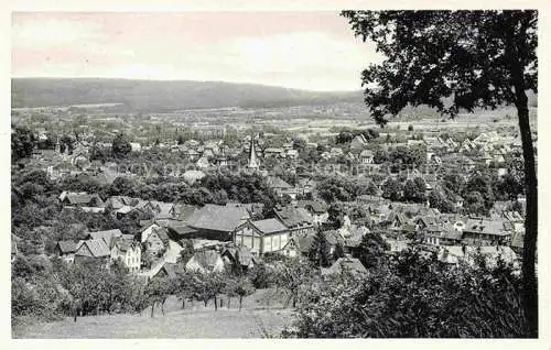 AK / Ansichtskarte Erbach Odenwald Stadtpanorama