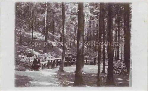 AK / Ansichtskarte Gross-Schweidnitz Grossschweidnitz Loebau Sachsen Waldpartie