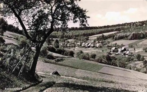 AK / Ansichtskarte Raubach Odenwald Hessen Panorama