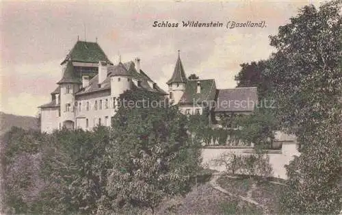 AK / Ansichtskarte BASEL BS Schloss Wildenstein