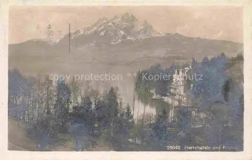 AK / Ansichtskarte Hertenstein  LU mit Pilatus