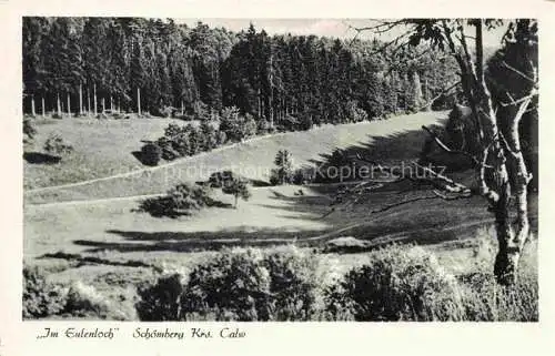 AK / Ansichtskarte Schoemberg  Schwarzwald Calw BW Im Eulenloch