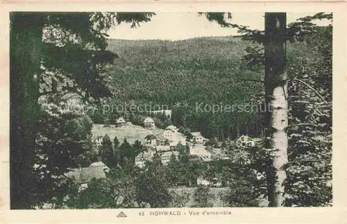 AK / Ansichtskarte Hohwald Bad Selestat-Erstein 67 Bas-Rhin Vue d'ensemble