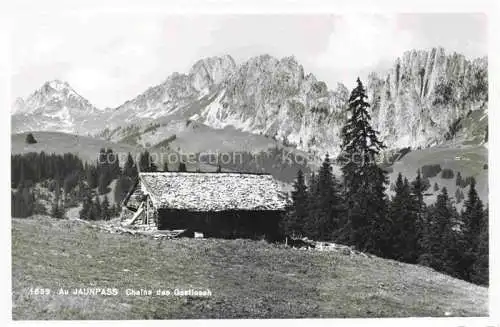AK / Ansichtskarte Jaunpass La Gruyere FR Chaine des Gastlosen