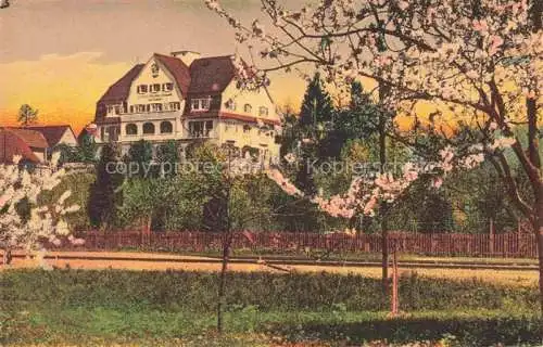 AK / Ansichtskarte Enzisweiler Bodensee Bayern Hotel Pension Traub Baumbluete