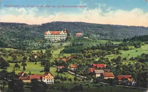 AK / Ansichtskarte Winterkasten Lindenfels Hessen Panorama Blick auf die Eleonorenheilstaette
