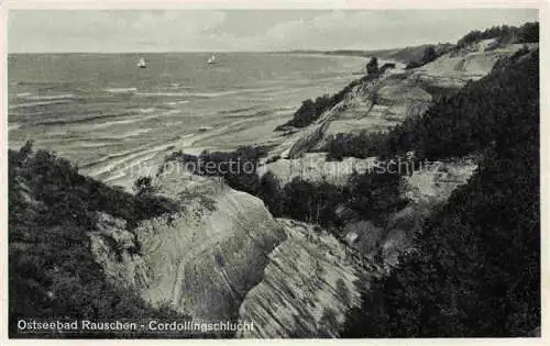 AK / Ansichtskarte RAUSCHEN Ostseebad SWETLOGORSK Kaliningrad RU Cordollingschlucht Kuestenpanorama