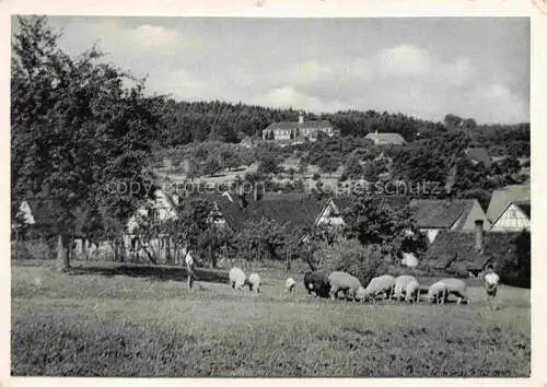 AK / Ansichtskarte Langensteinbach Karlsbad Karlsruhe BW Panorama Blick zum Bibelheim Bethanien Schafherde