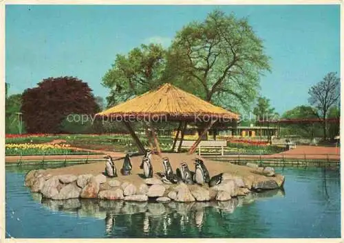 AK / Ansichtskarte Gartenschau Landesgartenschau LAGA Hamburg Pinguinen Teich 