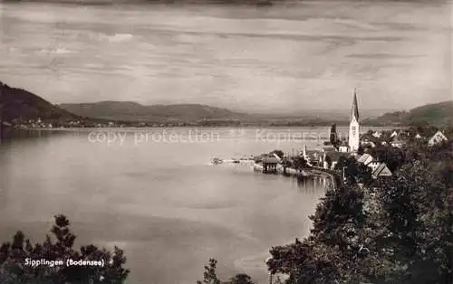 AK / Ansichtskarte Sipplingen Bodensee Panorama