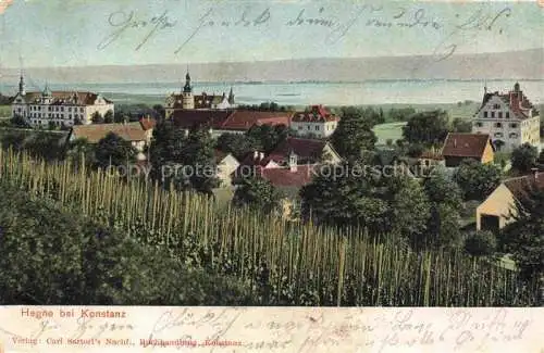 AK / Ansichtskarte Hegne Konstanz Panorama