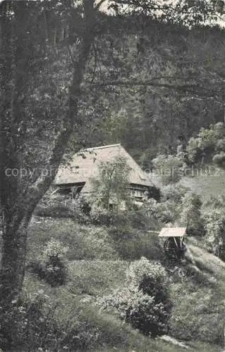 AK / Ansichtskarte Furtwangen Schwarzwald BW Bauernhaus