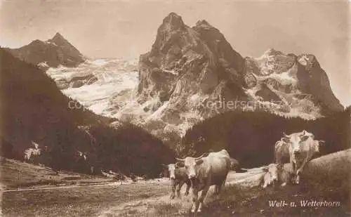 AK / Ansichtskarte Grindelwald BE mit Well und Wetterhorn