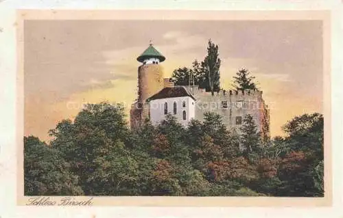 AK / Ansichtskarte Birseck Arlesheim BL Schloss Birseck