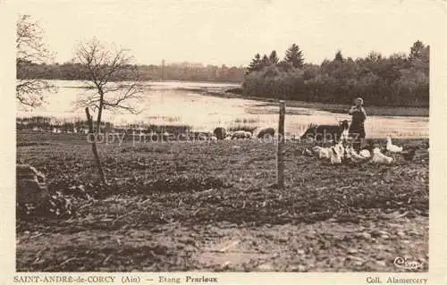 AK / Ansichtskarte Saint-Andre-de-Corcy Etang Prarieux