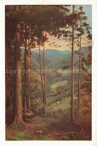 AK / Ansichtskarte HOFFMANN  Heinrich Kuenstlerkarte Durchblick ins Tal 