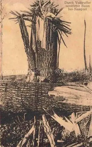 AK / Ansichtskarte Nampzel Nampcel Compiegne 60 Oise Durch Volltreffer zerstoerter Baum
