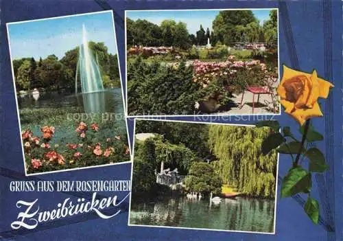 AK / Ansichtskarte Zweibruecken Pfalz Rosengarten Teilansichten