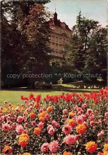AK / Ansichtskarte LUDWIGSBURG  BW Alter Fuerstenbau des Schlosses mit Flamingowiese