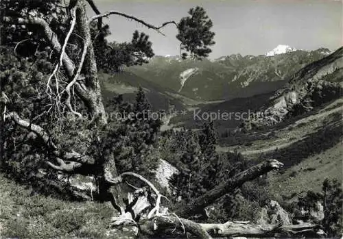 AK / Ansichtskarte Ofenpass Ofenbergpasshoehe 2155m Zernez GR Blick ins Muenstertal mit Ortler