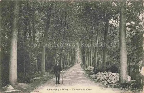 AK / Ansichtskarte Crancey Nogent-sur-Seine 10 Aube Avenue du Canal