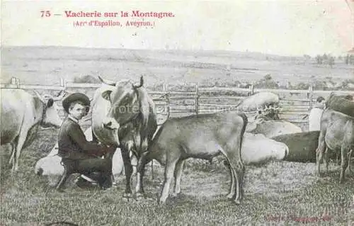 AK / Ansichtskarte Espalion Rodez 12 Aveyron Vacherie sur la Montagne