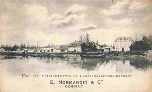 AK / Ansichtskarte Chateauneuf-sur-Charente Cognac 16 Charente Vue des Etablissements