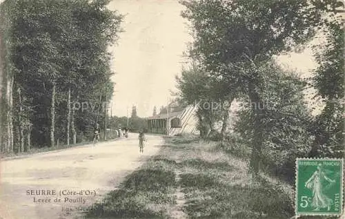 AK / Ansichtskarte Seurre Beaune 21 Cote-d Or Levée de Pouilly