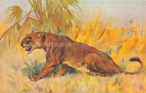 AK / Ansichtskarte Loewe Lion-- 