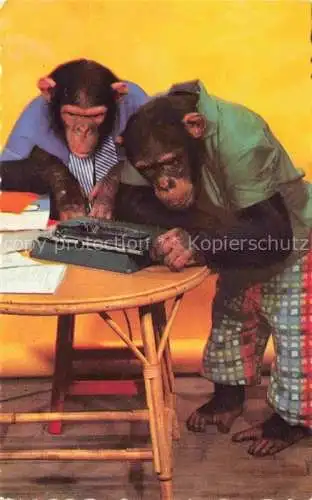 AK / Ansichtskarte Affen Schreibmaschine 