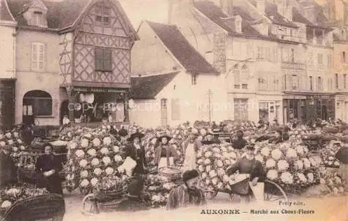 AK / Ansichtskarte Auxonne DIJON 21 Cote-d Or Marché aux Choux-Fleurs