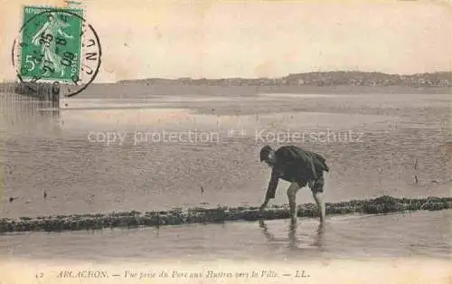 AK / Ansichtskarte ARCACHON 33 Gironde Vue prise du Parc aux Huitres vers la Ville