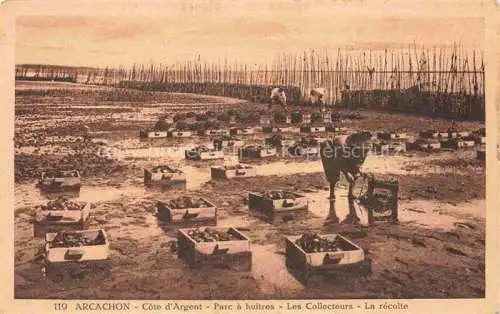 AK / Ansichtskarte ARCACHON 33 Gironde Parc a huitres Les Collecteurs La recolte